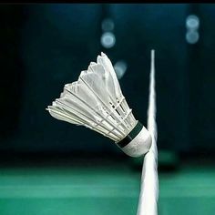 a white badminton racket on a green court