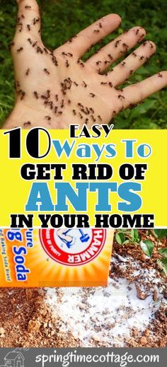 a hand that is covered in dirt with the words 10 ways to get rid of ants in your home