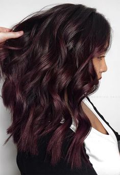 Deep Plum Hair Color, Plum Hair Color Ideas, Plum Hair Dye, Plum Hair Color, Pelo Color Borgoña, Pelo Color Vino, Hair Color Guide, Hair Color Plum, Dyed Tips