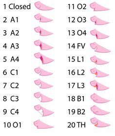 the height chart for pink shoes with different sizes and colors on them, showing how tall they