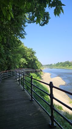 a wooden walkway next to a river with trees on both sides and water in the background