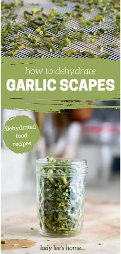 how to dehydraate garlic scapes in a mason jar with text overlay