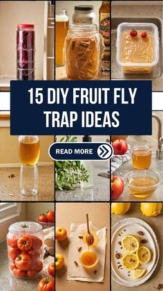 a collage of different fruits and vegetables with the words 15 diy fruit fly trap ideas