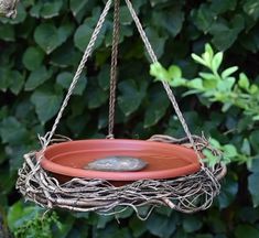 a bird feeder hanging from a tree branch