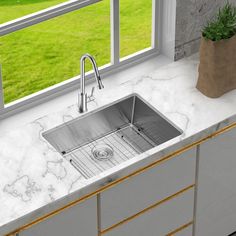 a kitchen sink sitting under a window next to a potted plant