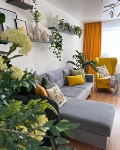 a living room filled with furniture and lots of plants