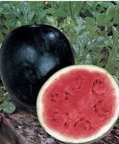 a large watermelon sitting on top of a piece of wood next to leaves