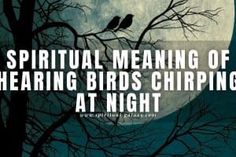 Spiritual meaning of hearing birds chirping at night: A spiritual awakening! Birds Chirping, Counting Money, Spiritual Advisor, Fake Money, Find Money, Dream Interpretation, Psychic Mediums, Weird Dreams