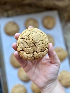 a person holding a cookie in their hand