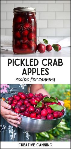 Try this pickled crab apples recipe for canning and preserve your harvest with a delicious blend of vinegar, sugar, and warm spices. These pickled crab apples are ideal as a side with meats or a flavorful snack. Learn how to can them for long-term storage! Find more crab apple recipes, preserving crab apples, crab apple canning recipes, and Homemade Pickling Recipes for Canning at creativecanning.com. Meat Main Dishes, Canning Recipes For Beginners, Recipes For Canning