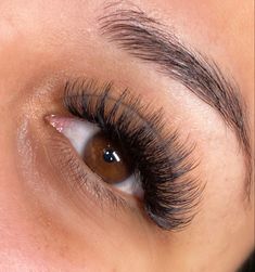 Volume Lashes, Lashes