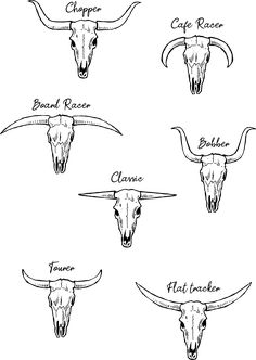 the long horn steer's names are shown in black and white