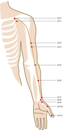 Meridian Points, Skin Bumps, Energy Medicine, Reflexology