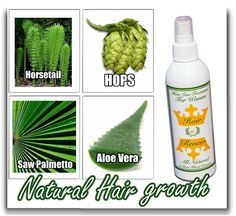 Hair Growth Women, Hair Growth Products, Hair Regrowth Treatments, Female Hair, Scalp Care, Hair Regrowth, Hair Growth, Healthy Hair, Aloe Vera