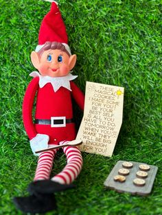 an elf is sitting in the grass next to some cookies