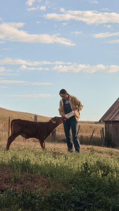 a man standing next to a brown cow in a field