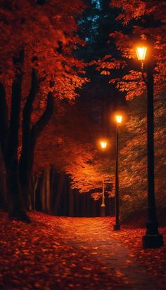 an empty street at night with lanterns lit up in the trees and leaves on the ground