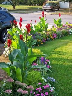 a flower garden with lots of flowers in the grass and cars parked on the side of the road