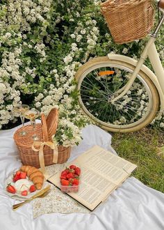 an open book and strawberries on a blanket next to a bicycle with flowers in the background