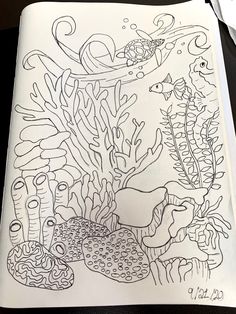 an open notebook with some drawings on top of it, including corals and seaweed