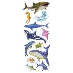 a group of different types of sea animals on a white background, including dolphins and octopuses