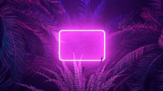 a purple neon sign in the middle of palm trees with leaves around it and an area for text