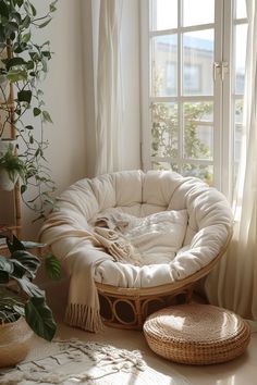 a round dog bed in front of a window