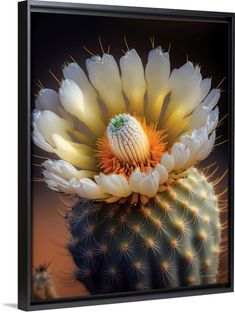 a white cactus flower with yellow stamens on it's head and petals