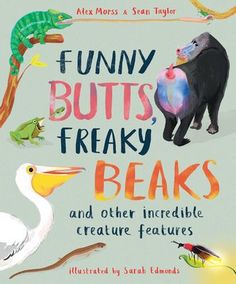 A delightful compendium of all the most unusual and unexpected features in the animal kingdom, from puzzling toes to weird ears, and all the other body parts in between. Sean Taylor, Book Reviews For Kids, Hoot Owl, Incredible Creatures, Creature Feature, Book Humor, Children’s Books, Paperback Books, The Guardian