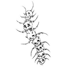 a line drawing of skulls and bones on a white background