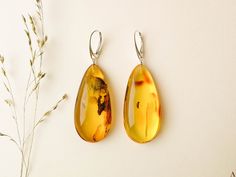 "These natural baltic amber earrings are the best choice if you want to brighten up your eyes! Their color is so unique, it balances between yellow and green, so it makes them really stand out of the other jewelry! Don't miss your chance to wear these exclusive and original genuine amber drops earrings. MATERIALS AND SIZE: Stone: 100% Natural baltic amber Findings: Sterling silver 925 Earrings A: Weight: 13,3 g  (0,46 oz)                                                     Bead size:4,6 cm (1,81 in) x 2,2cm (0,86 in)                       Total length: 6,6 cm (2,59in) Earrings B: Weight: 13,3 g  (0,46 oz)                                            Bead size: 5 cm (1,96 in) x1,9 cm (0,74 in) Total length: 7 cm (2,75 in) PLEASE NOTE: All our amber production is made of natural amber. Amber i Handmade Amber Teardrop Earrings, Baltic Amber Drop Earrings, Elegant Yellow Baltic Amber Earrings, Yellow Baltic Amber Earrings, Teardrop Baltic Amber Earrings In Amber, Amber Teardrop Baltic Amber Earrings, Yellow Baltic Amber Teardrop Jewelry, 925 Earrings, Amber Earrings