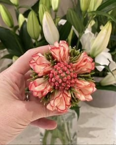 a hand holding a flower in front of a vase filled with white and pink flowers