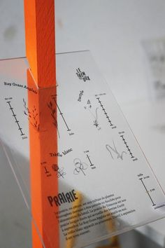 an orange piece of paper with writing on it