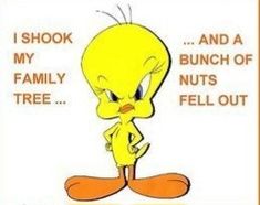 an image of a cartoon character with the caption'i shock and a bunch of nuts fell out '