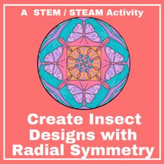 a pink poster with the words create insect designs with radial symmetry on it