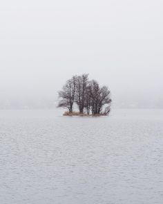 an island in the middle of a lake with trees on it and foggy skies