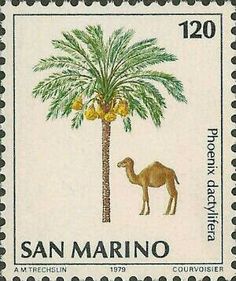 a stamp with a camel and a palm tree