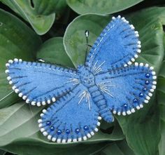 a blue butterfly sitting on top of green leaves