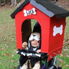 a little boy in a dog house costume