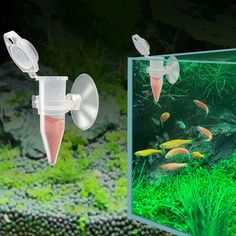 2Pcs Aquarium Fish Feeder Fish Tank Harvesting Shrimp Eggs Feeding Cone Cup With Sucker Automatic Pet Fish Feeder Accessories #promotion Shrimp Eggs, Shrimp And Eggs, Fish Feeders, Fish Feeder, Pet Fish, Small Fish, Aquarium Fish, Fish Tank, Pet Supplies