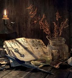 Magickal Books Great look for the one I want with herbs and natural things Books - womens books - http://amzn.to/2j4SKjW Elven Kingdom, The Magic Faraway Tree, Faraway Tree, Green Witchcraft, Witch Cottage, Witchy Aesthetic, Witch Aesthetic, Witchy Vibes, High Fantasy