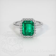 Emerald Ring 2.28 Ct. Platinum 950 | The Natural Emerald Company Gia Certified Formal Emerald Cut Emerald Ring, Classic Octagon Emerald Ring With Halo Setting, Emerald Cut Emerald Ring With Halo Setting, Gia Certified Emerald Cut Emerald Ring For May Birthstone, Rectangular Green Emerald Ring With Vvs Clarity, Classic Gia Certified Emerald Ring, Gia Certified Square Cut Green Emerald Ring, Classic Green Emerald Cut Diamond Ring, Gia Certified Octagon Green Emerald Ring