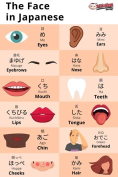 the face in japanese with different facial expressions and their corresponding parts, including eyes, lips, mouth, nose