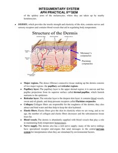 Skin Notes Anatomy, Anatomy And Physiology Beauty Therapy, Esthetician Learning, Esthetics Notes, Esthetician Skin Analysis, Esthetician Notes, Skin Physiology, Skin Theory, Skin Knowledge