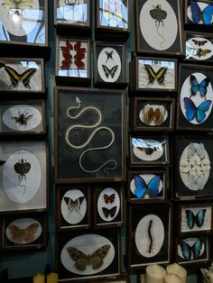 many framed butterflies are on display in a room with candles and other items around them