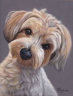 a pastel drawing of a dog's face and head, looking at the camera