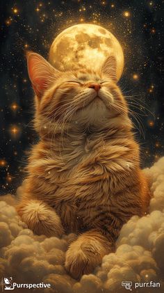 an orange cat is sitting in the clouds with a full moon above it's head