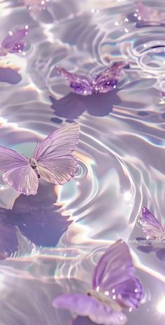 purple butterflies floating in water with ripples on the surface and sunlight shining through them