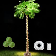 a palm tree with some lights on it and an inflatable ring next to it