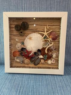 shells and seashells are arranged in a shadow box